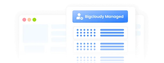 Daily Backups Daily Backups